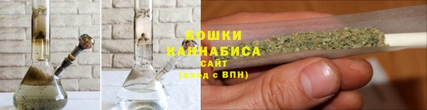 ПСИЛОЦИБИНОВЫЕ ГРИБЫ Медвежьегорск